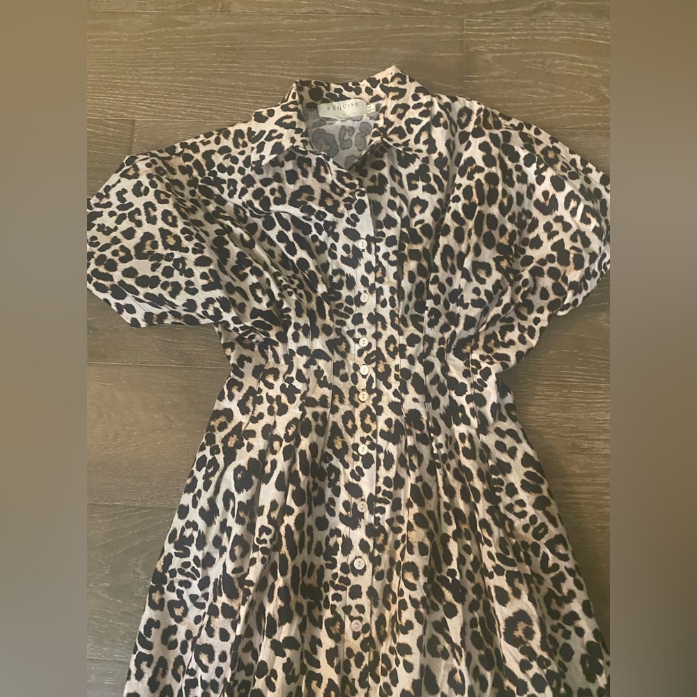NWOT Anthropologie Exquise Tobie Leopard Animal Printed Pleated Shirt Dress S - Picture 7 of 8